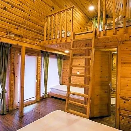 Otel Otantik Tas Ev